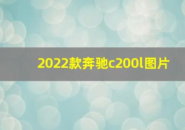 2022款奔驰c200l图片