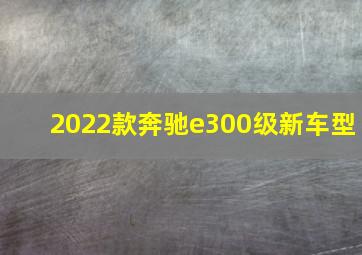 2022款奔驰e300级新车型