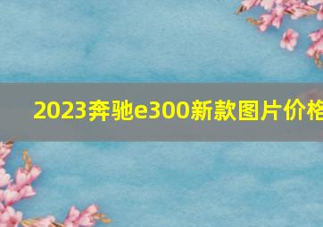 2023奔驰e300新款图片价格