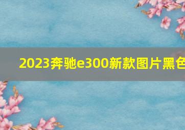 2023奔驰e300新款图片黑色