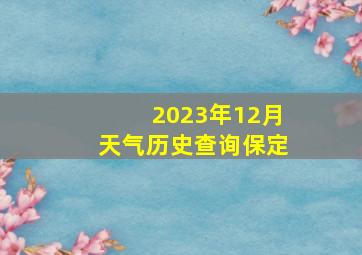 2023年12月天气历史查询保定