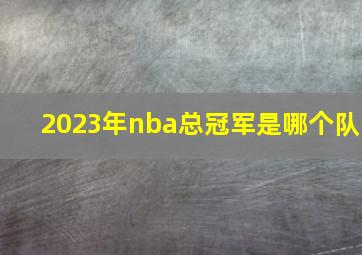 2023年nba总冠军是哪个队