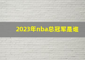 2023年nba总冠军是谁