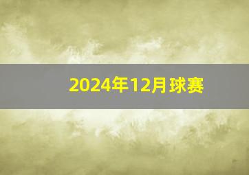 2024年12月球赛