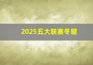 2025五大联赛冬窗