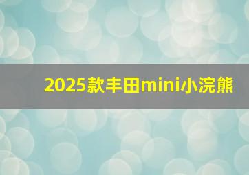 2025款丰田mini小浣熊