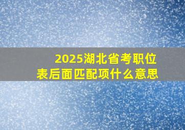 2025湖北省考职位表后面匹配项什么意思