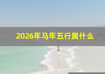 2026年马年五行属什么