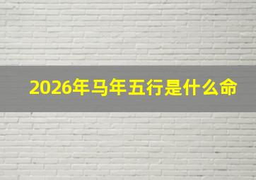 2026年马年五行是什么命