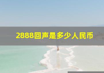 2888回声是多少人民币