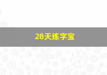 28天练字宝