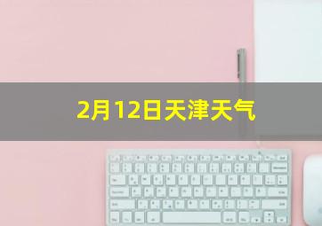 2月12日天津天气