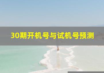 30期开机号与试机号预测