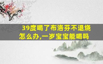 39度喝了布洛芬不退烧怎么办,一岁宝宝能喝吗