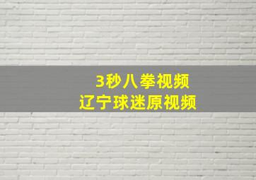 3秒八拳视频辽宁球迷原视频