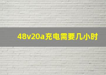 48v20a充电需要几小时