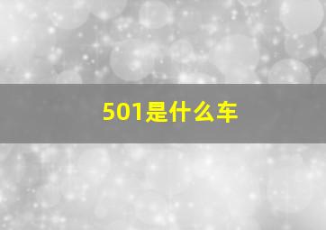 501是什么车