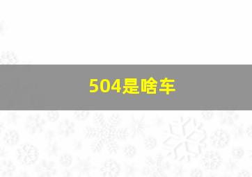 504是啥车