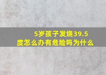 5岁孩子发烧39.5度怎么办有危险吗为什么