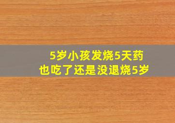 5岁小孩发烧5天药也吃了还是没退烧5岁