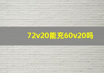 72v20能充60v20吗