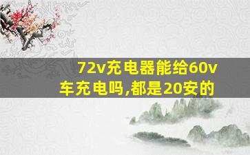 72v充电器能给60v车充电吗,都是20安的