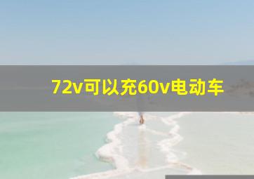 72v可以充60v电动车