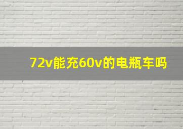 72v能充60v的电瓶车吗