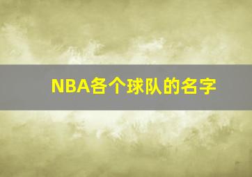 NBA各个球队的名字