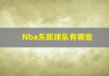 Nba东部球队有哪些