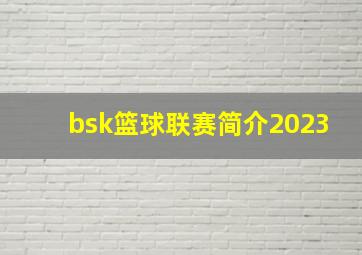 bsk篮球联赛简介2023