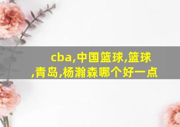 cba,中国篮球,篮球,青岛,杨瀚森哪个好一点