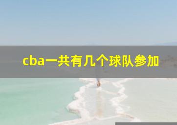 cba一共有几个球队参加