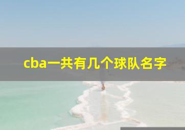 cba一共有几个球队名字