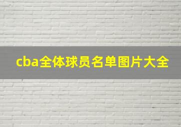 cba全体球员名单图片大全