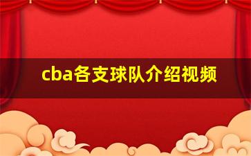 cba各支球队介绍视频