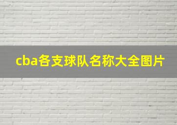 cba各支球队名称大全图片