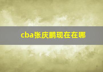 cba张庆鹏现在在哪