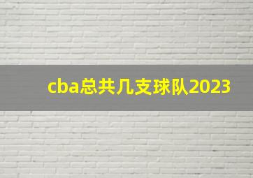 cba总共几支球队2023