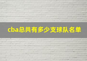 cba总共有多少支球队名单