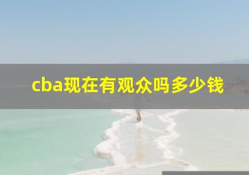 cba现在有观众吗多少钱