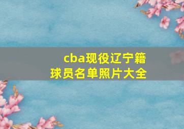 cba现役辽宁籍球员名单照片大全