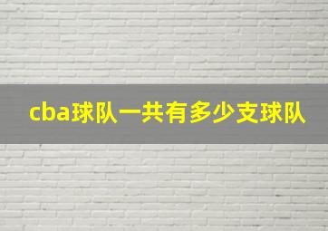 cba球队一共有多少支球队