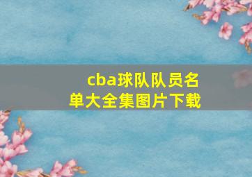 cba球队队员名单大全集图片下载