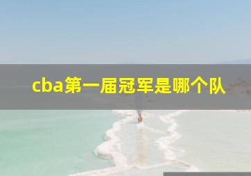 cba第一届冠军是哪个队