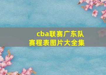 cba联赛广东队赛程表图片大全集