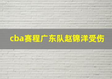 cba赛程广东队赵锦洋受伤