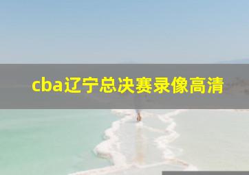 cba辽宁总决赛录像高清