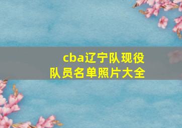 cba辽宁队现役队员名单照片大全