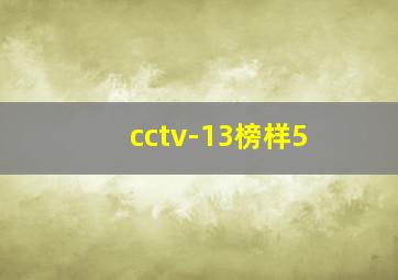 cctv-13榜样5